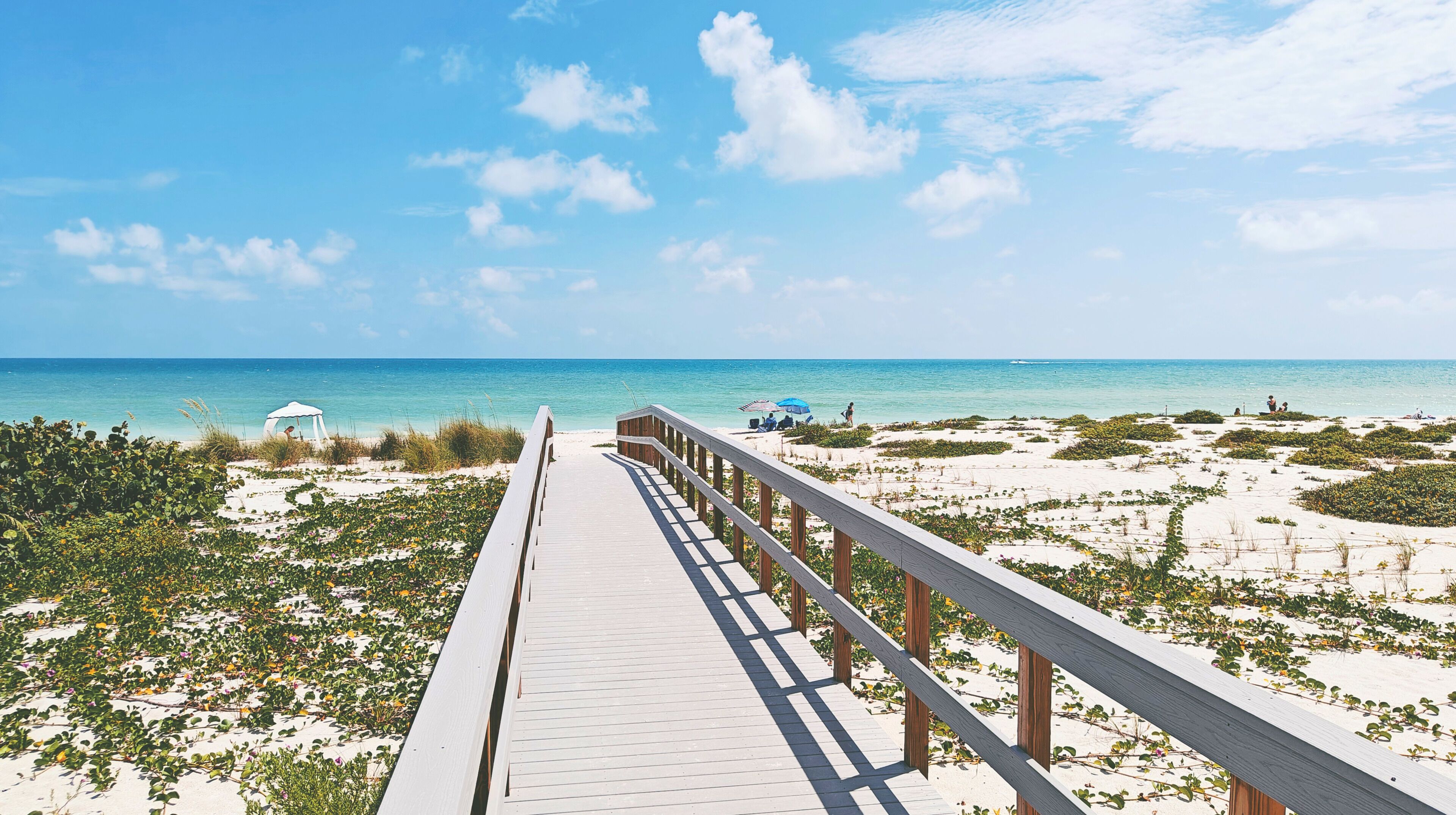 Plage, sable blanc, snorkeling, surf
