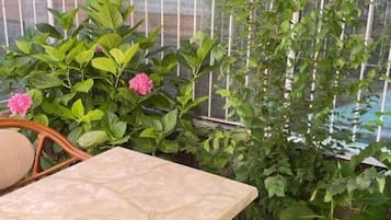 Estudio, 1 cama doble, patio | Terraza o patio