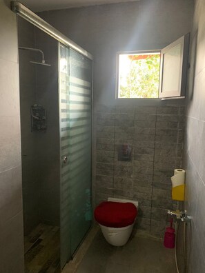 Hair dryer, towels, soap, toilet paper