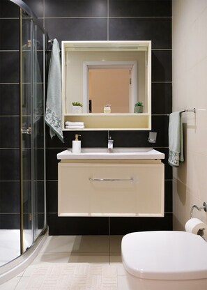 Hair dryer, towels, soap, shampoo