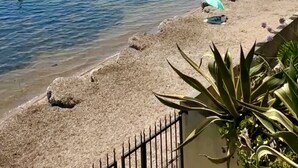 Een strand met helder water, een palmboom en iemand aan het zwemmen.