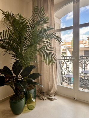 A room with a large window, a potted plant, and a curtain. - - (Cannes)