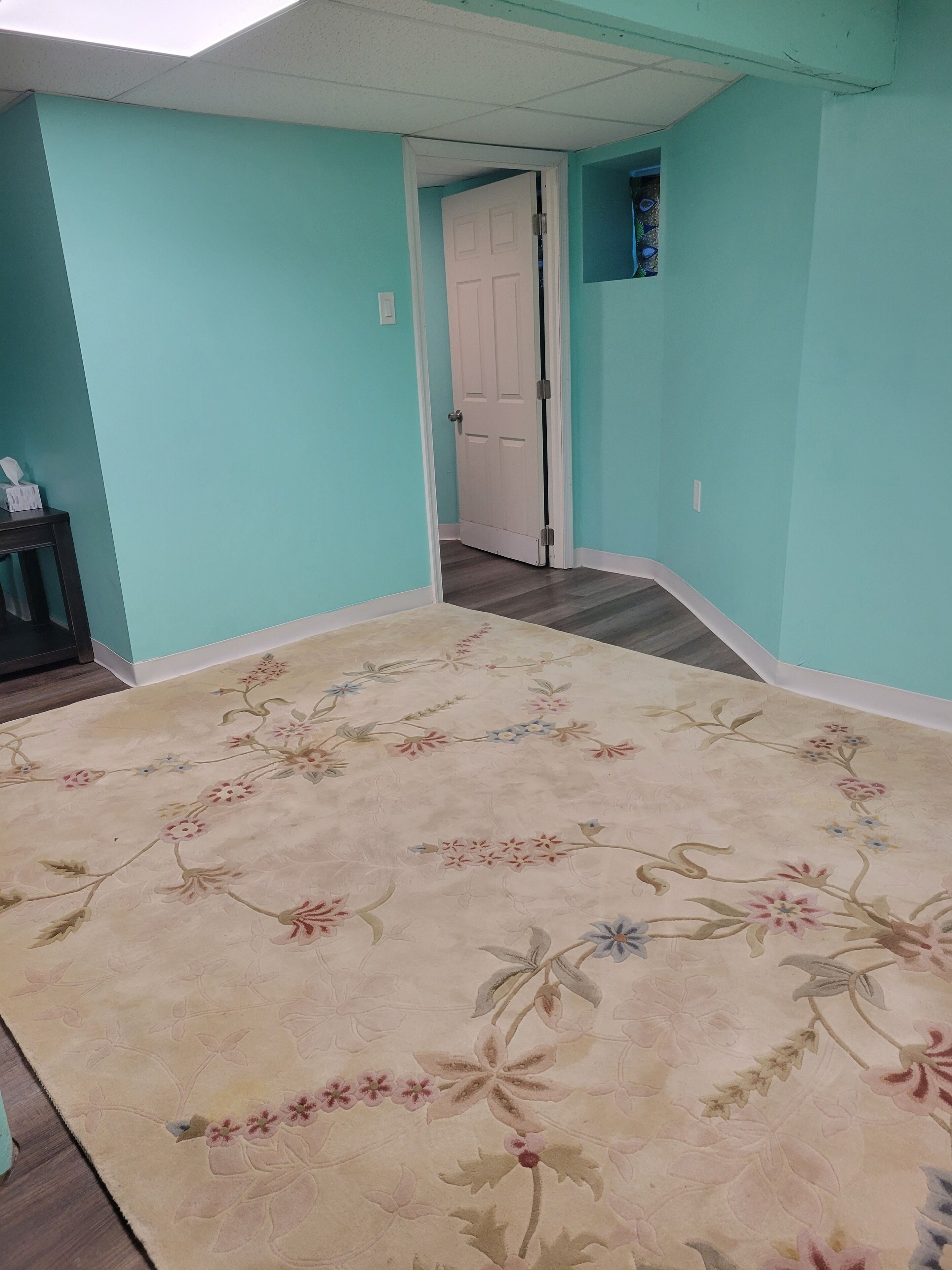 A hallway with teal walls, a floral carpet, and a white door at the end.