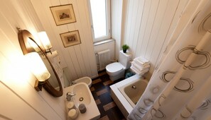 Shower, hair dryer, bidet, towels