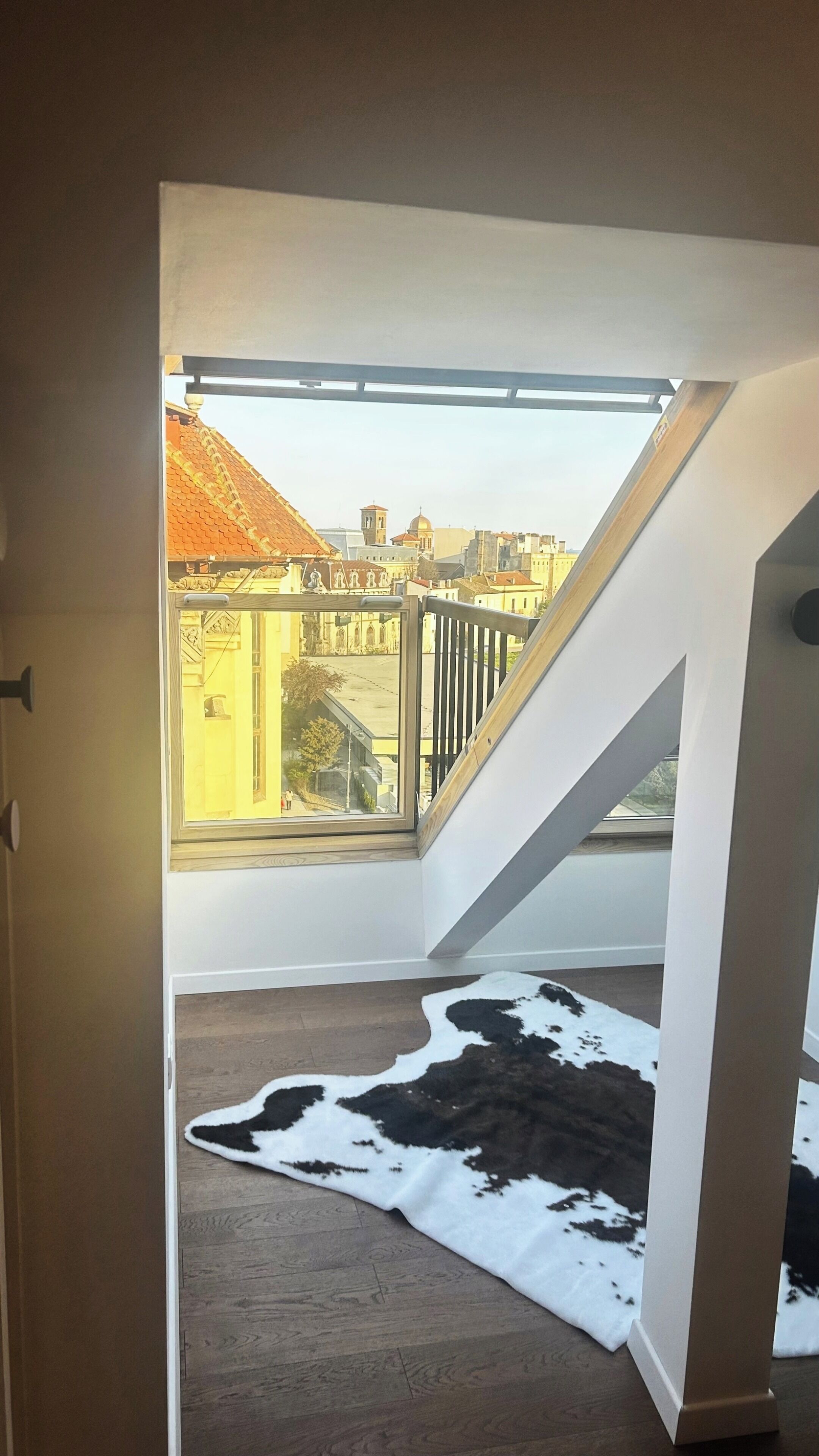 A room with a sloped ceiling, a large skylight, and a cowhide rug on the floor.