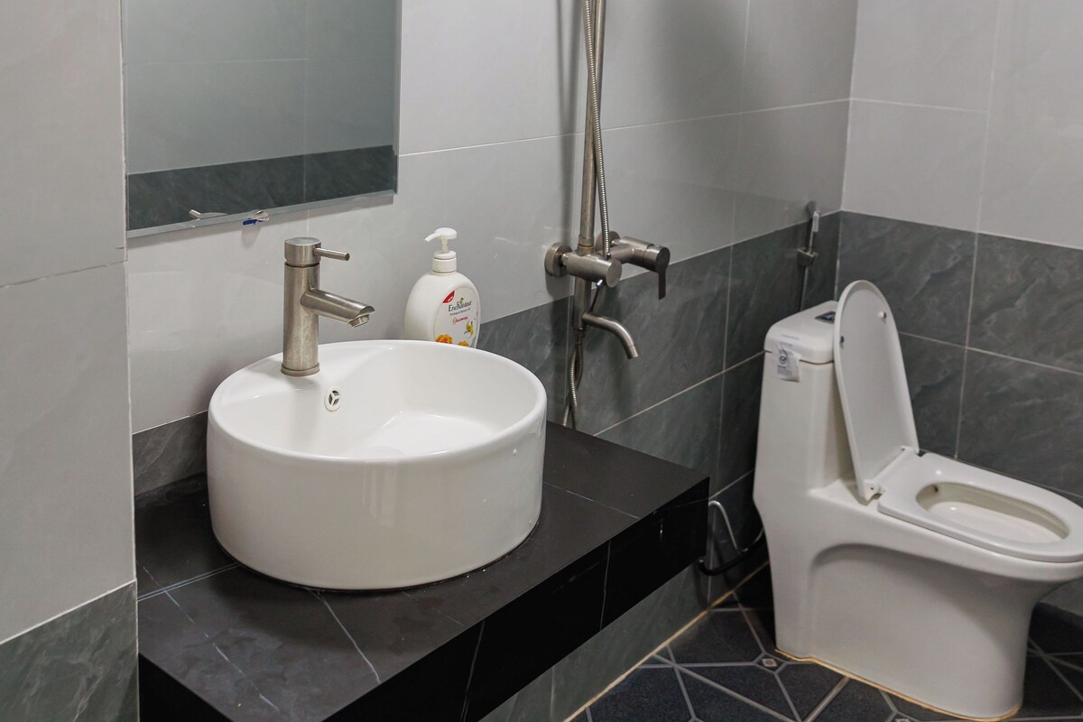 A bathroom with a white sink, a toilet, and a shower with a handheld showerhead.
