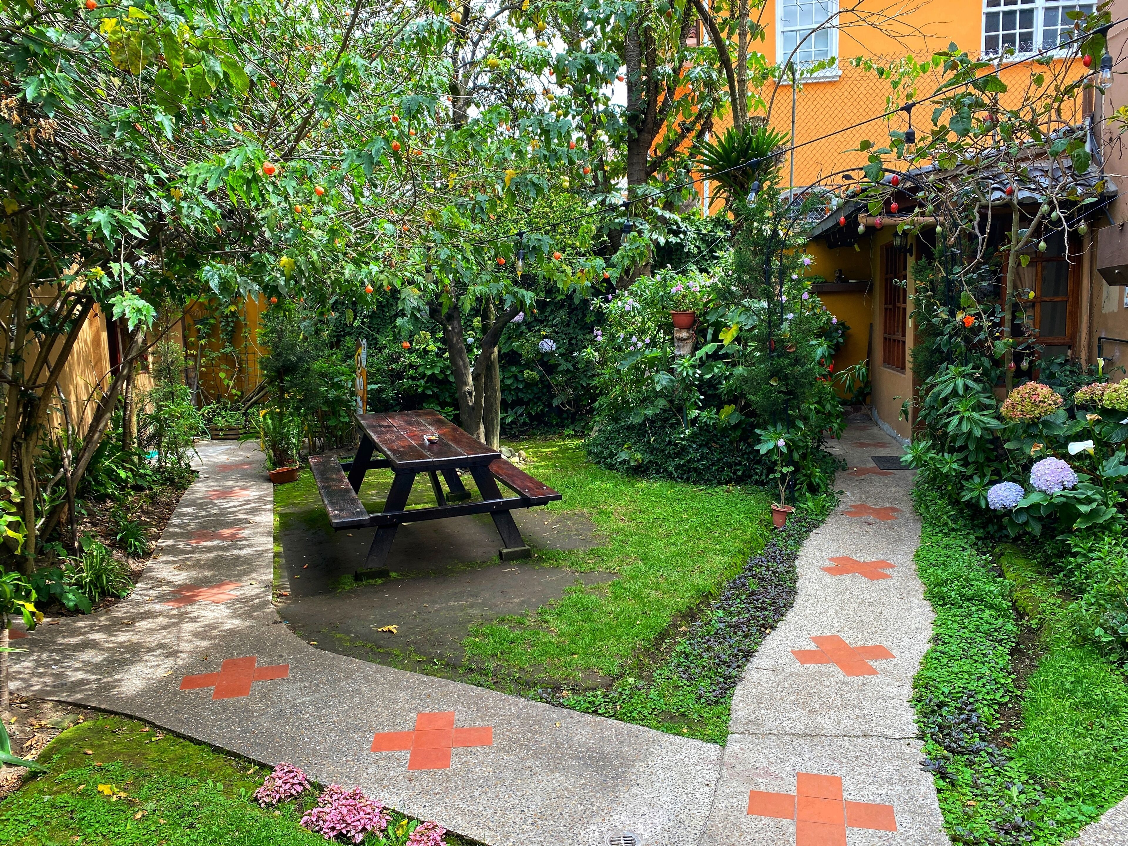 A garden with a picnic table, a pathway with red cross markings, and lush greenery.