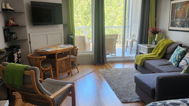 Une pièce chaleureuse avec un plancher en bois, un canapé, un fauteuil, une petite table et un téléviseur fixé au mur.