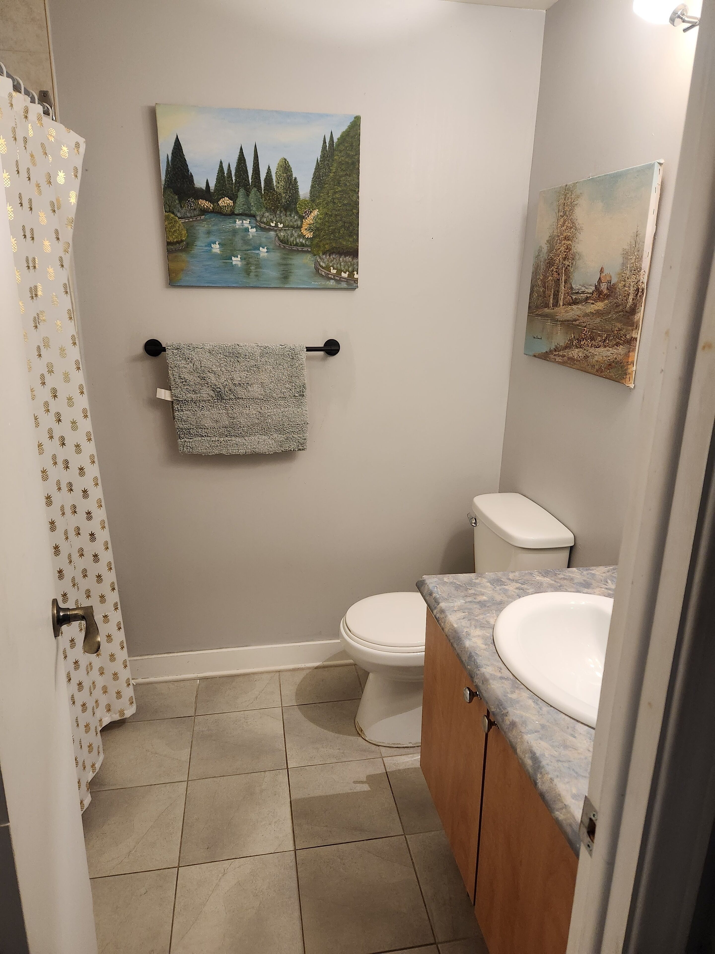 Hair dryer, towels, soap, toilet paper