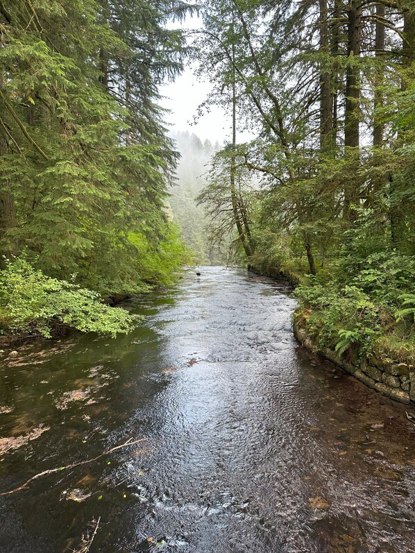 Un río serpentea por una zona boscosa con árboles frondosos y un muro de piedra a un lado.