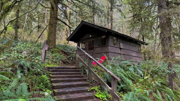 A wooden cabin with a staircase leading up to it, surrounded by dense forest and ferns. - Smith Creek Village  (Sublimity)