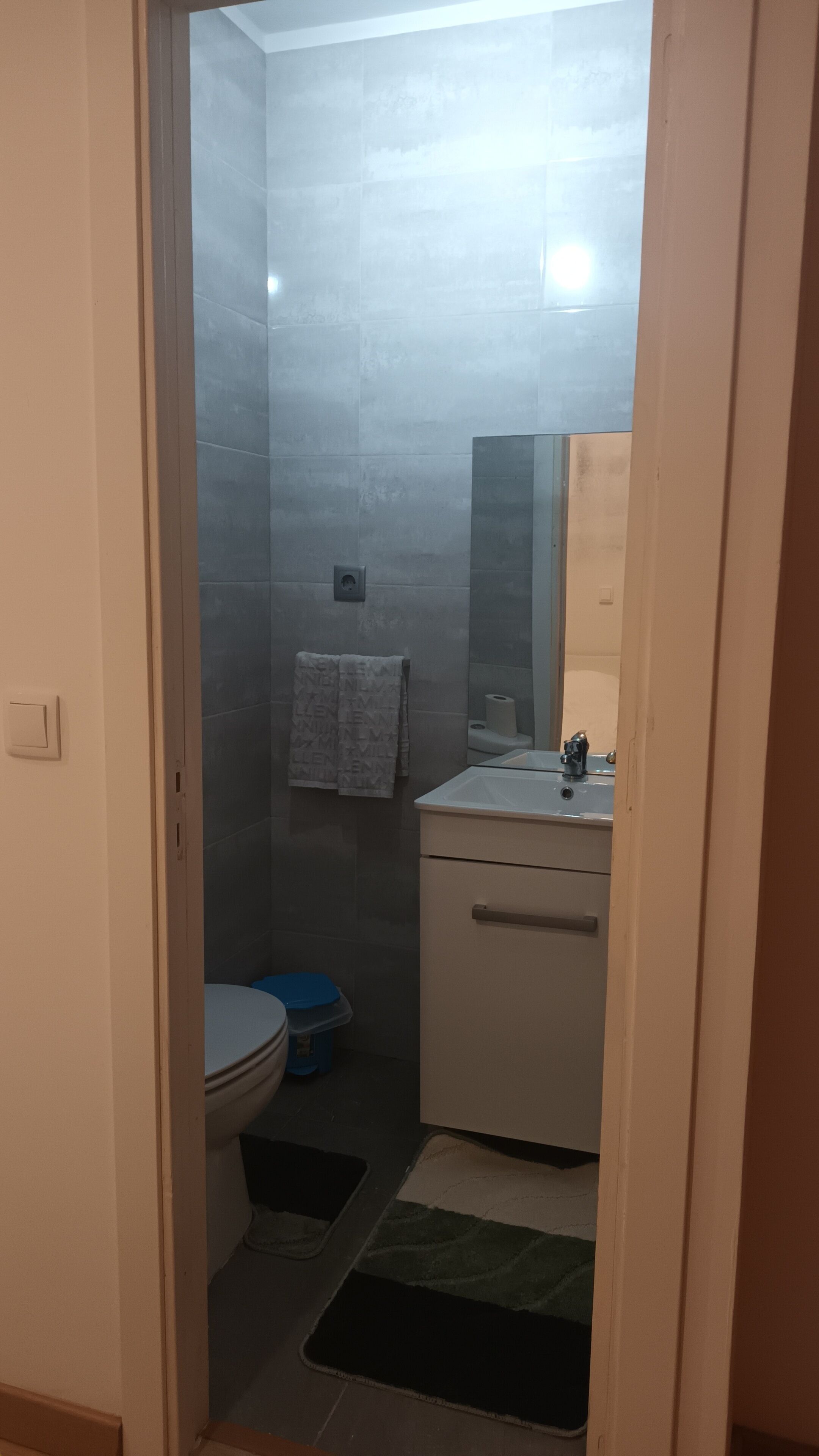Une petite salle de bain comprenant des toilettes, un lavabo et un espace douche.
