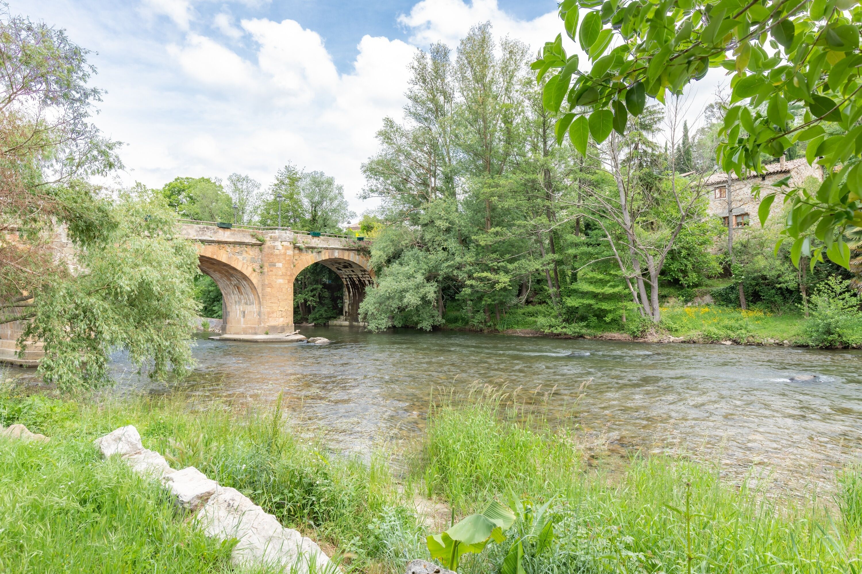 Un ponte di pietra che sovrasta un fiume, circondato da vegetazione lussureggiante e alberi.