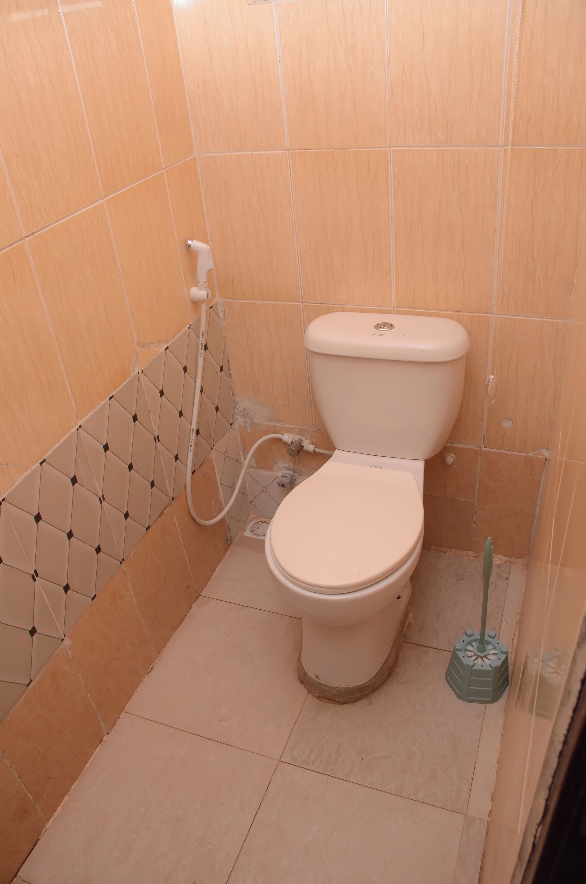Een kleine badkamer met toilet, douche en een dweil.