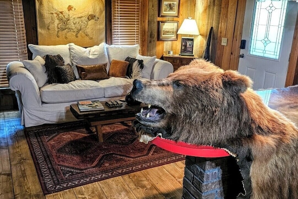 Bernie Bear on the Bar