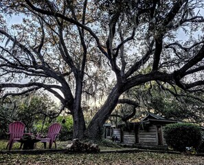 Property grounds - Charming Unique Cabin:
The LiTTLe House in the Inlet! (Murrells Inlet)