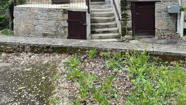 A traditional stone building with a thatched roof, a wooden door, and a small staircase leading to a porch. - 16th century thatched house, relaxation area for adults and children (Saint-Augustin)