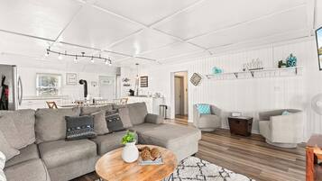 Smart TV, fireplace, DVD player, books