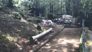 Ein unbefestigter Weg mit Picknicktischen und Bänken, umgeben von Bäumen und einer Holzhütte im Hintergrund.