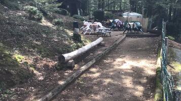 Área da propriedade