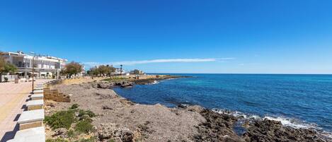 Playa en los alrededores