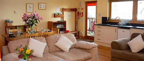 Télévision, cheminée, lecteur de DVD, livres