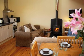 TV, fireplace, DVD player, books