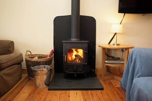 A cozy room with a wood-burning stove, a sofa, a lamp, and a small table. - Robin's Perch Eco Lodge Apartment, Lampeter (Lampeter)