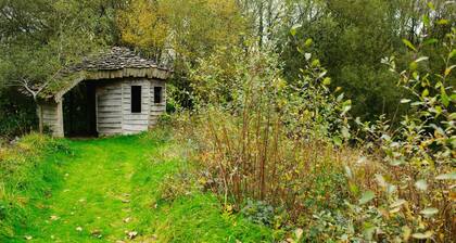 Robin's Perch Eco Lodge Apartment, Lampeter