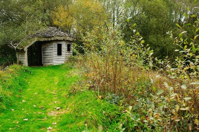 Robin's Perch Eco Lodge Apartment, Lampeter