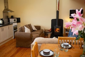 TV, fireplace, DVD player, books - Robin's Perch Eco Lodge Apartment, Lampeter (Lampeter)