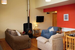 TV, fireplace, DVD player, books - Robin's Perch Eco Lodge Apartment, Lampeter (Lampeter)