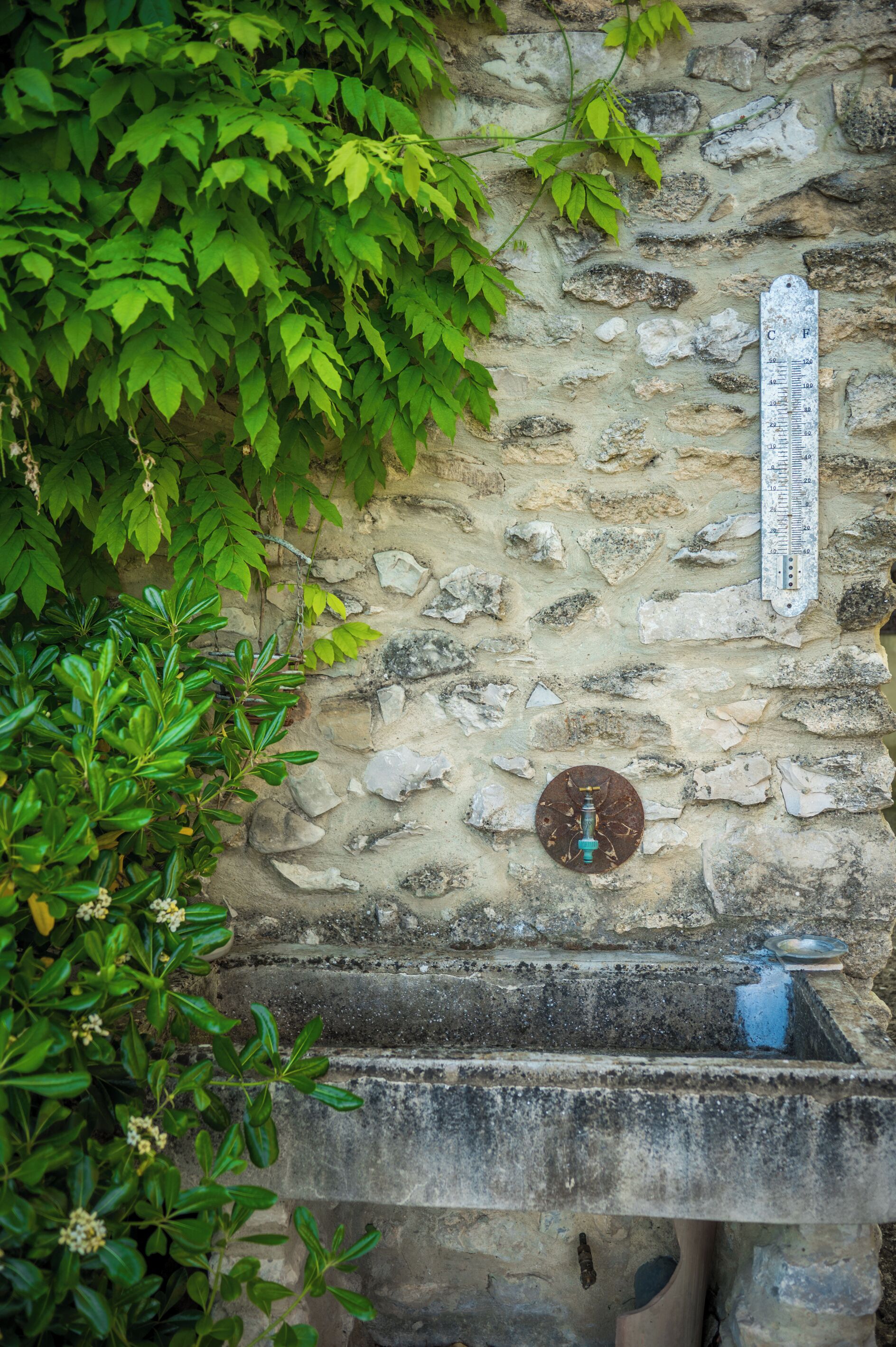 Détail de l’extérieur