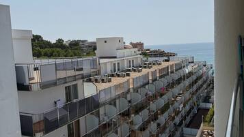 Studio, accessible aux personnes à mobilité réduite, fumeurs | Balcon