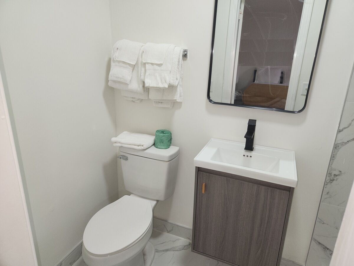 Shower, towels, soap, toilet paper