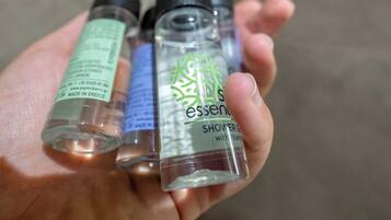 Deluxe Triple Room | Bathroom | Hair dryer, towels, soap, shampoo