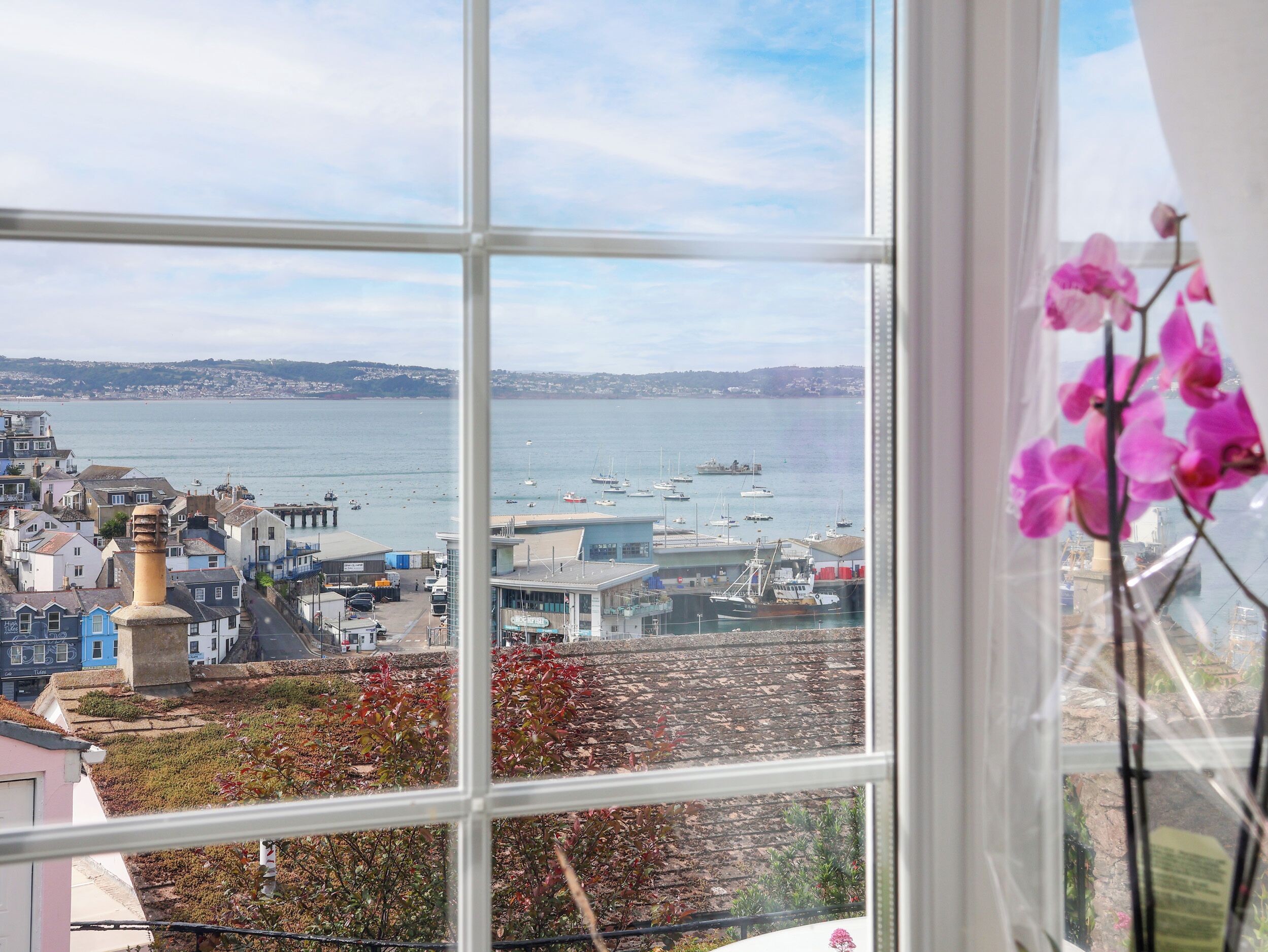 A coastal town view through a window with a pink orchid.