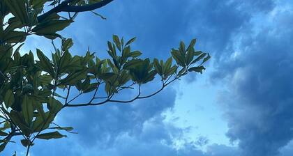 Villa Arhondiko Estate Kato Polydendri