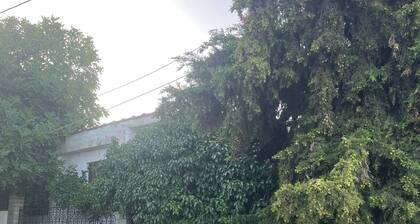 Villa Arhondiko Estate Kato Polydendri