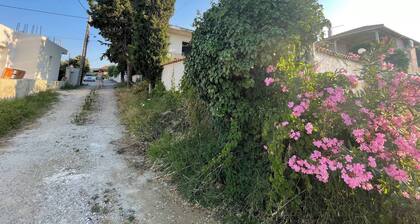 Villa Arhondiko Estate Kato Polydendri