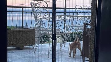 Villa, 3 Bedrooms, Smoking, Balcony | Living area