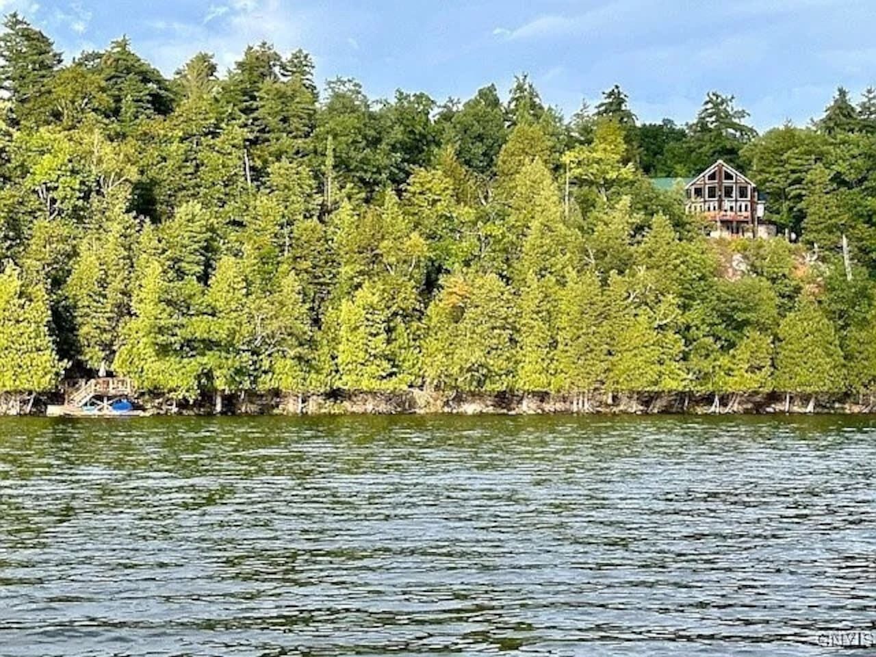 A lakeside property with a house surrounded by dense forest.
