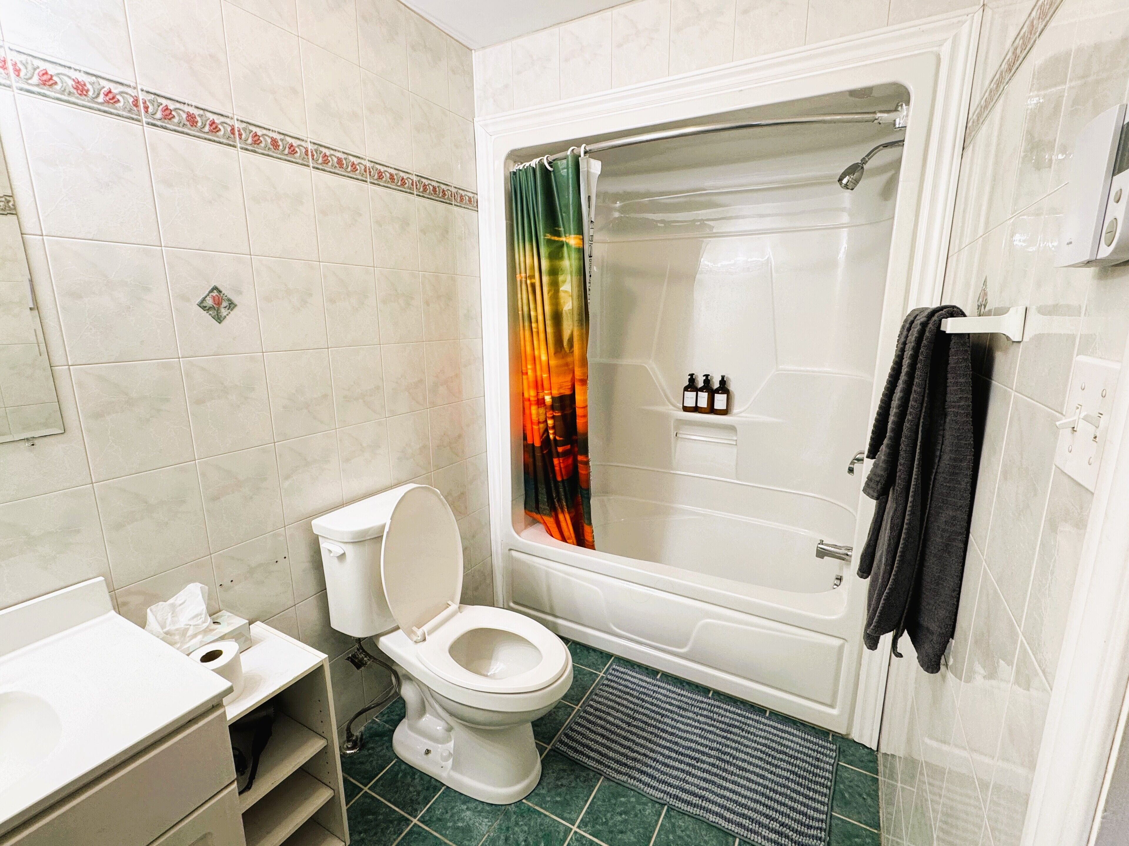 Hair dryer, towels, soap, toilet paper