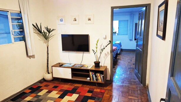 Una sala de estar con televisor, estantería, planta en maceta y alfombra colorida.