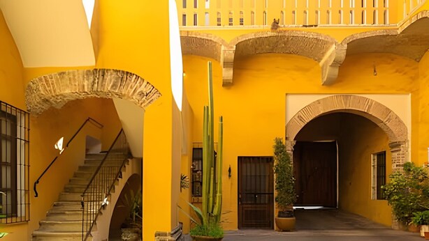 Un patio con paredes amarillas, una escalera y una gran planta de cactus.