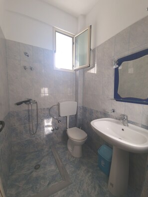 Shower, towels, toilet paper