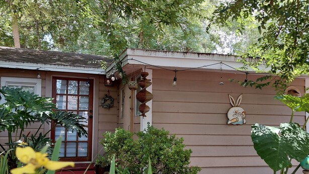 A small, single-story building with a brick pathway leading to the entrance. - Birds & Buns Bungalow (De Leon Springs)