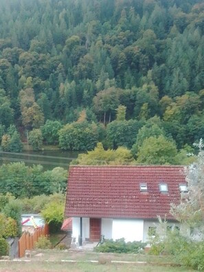 Une maison avec un toit rouge, entourée d’une forêt dense et bordée par un plan d’eau.