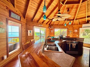 Microwave, oven, stovetop