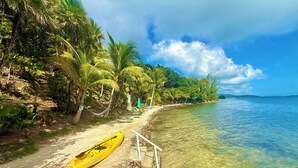 Ein Strand mit einem gelben Kajak, klarem Wasser und üppiger Vegetation.
